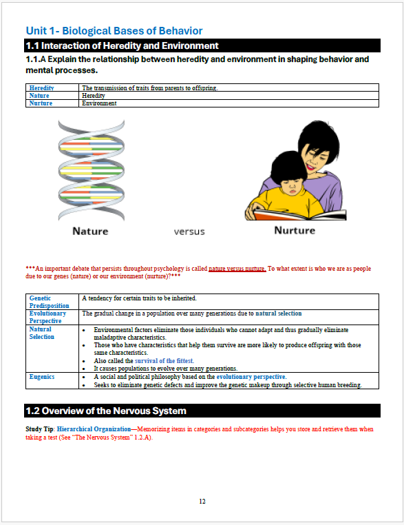 Hootsie Hill's Essential AP Psychology Study Guide for 24-25